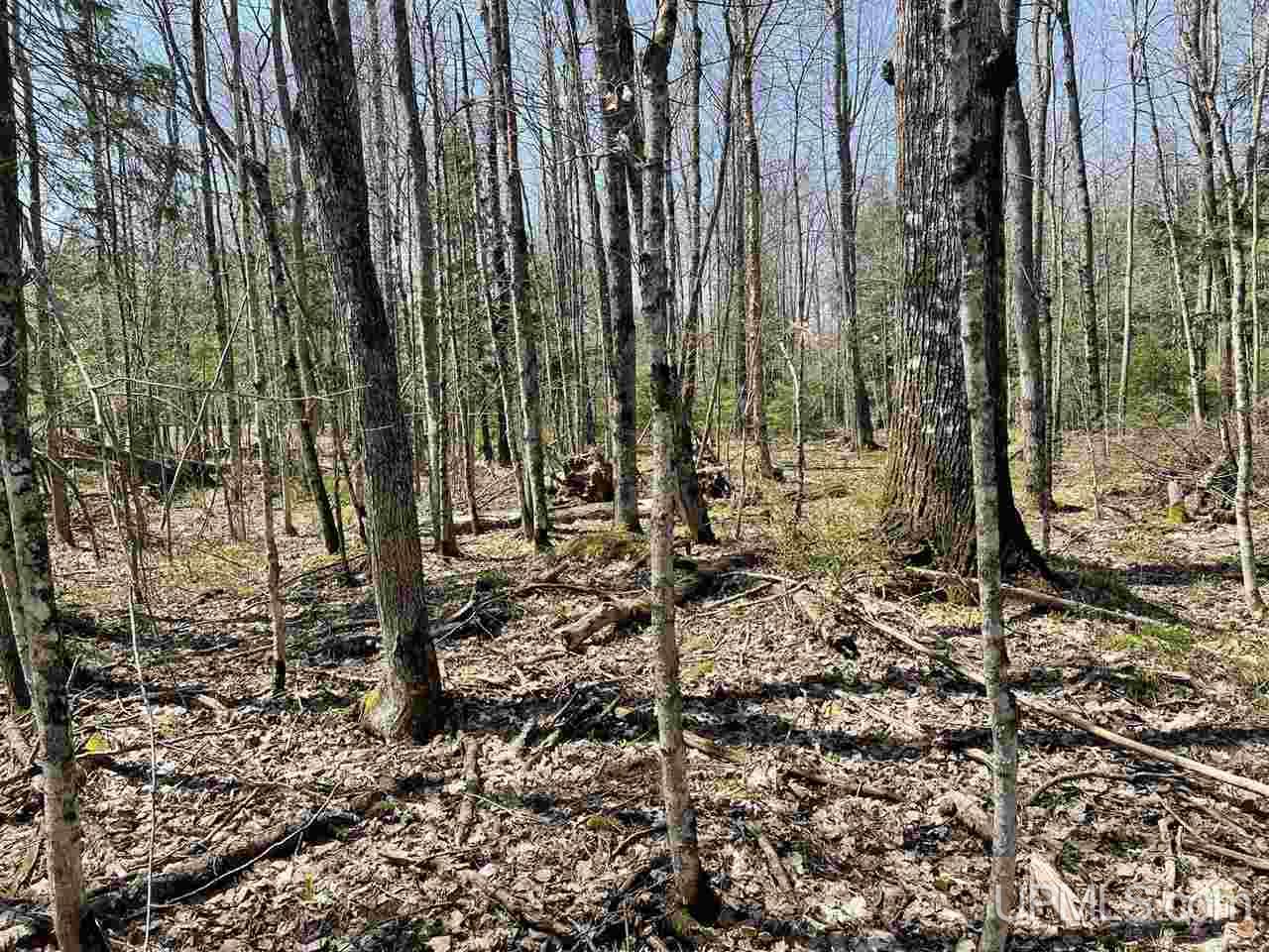 22503 Lower Skanee Road Skanee, MI 49962 - Photo 11 of 24 Gallery Image 11