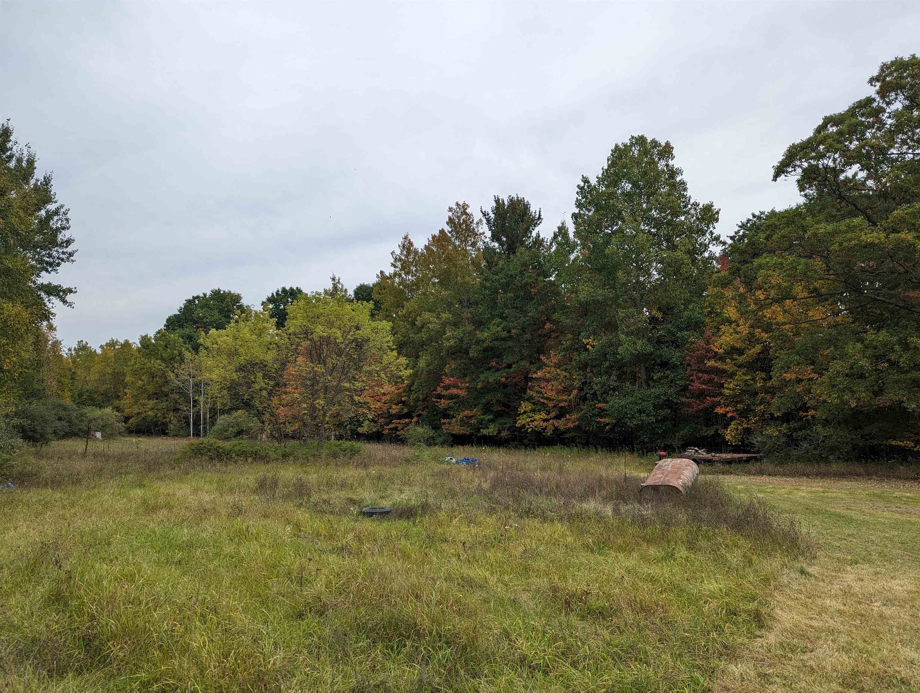 10281 East Pickard Road Mount Pleasant, MI 48858 - Photo 6 of 24