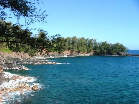 13 Beach Road, Unit 13 Pepeekeo, HI 96783 - Photo 3 of 5 a view of yard with green space