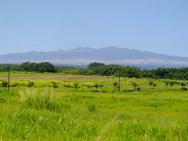 13 Beach Road, Unit 13 Pepeekeo, HI 96783 - Photo 5 of 5 a view of a lush green hillside and houses