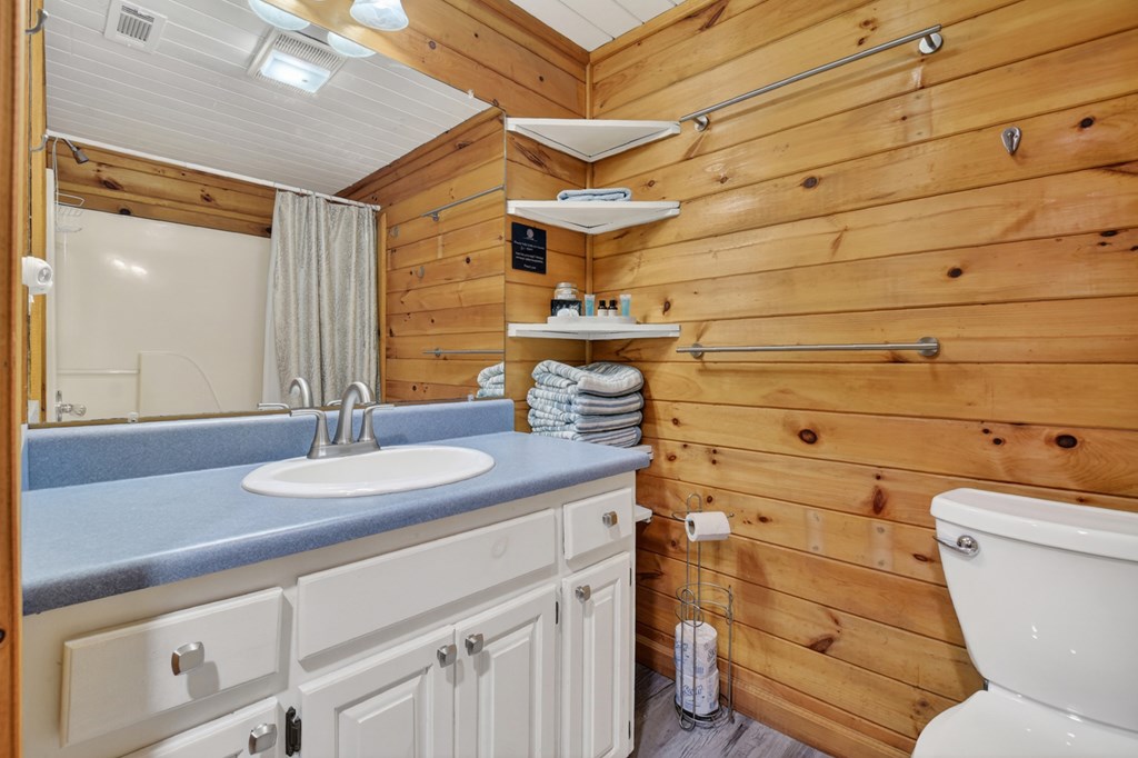 488 Joann Sisson Road Blue Ridge, GA 30513 - Photo 33 of 39 a bathroom with a sink and a mirror