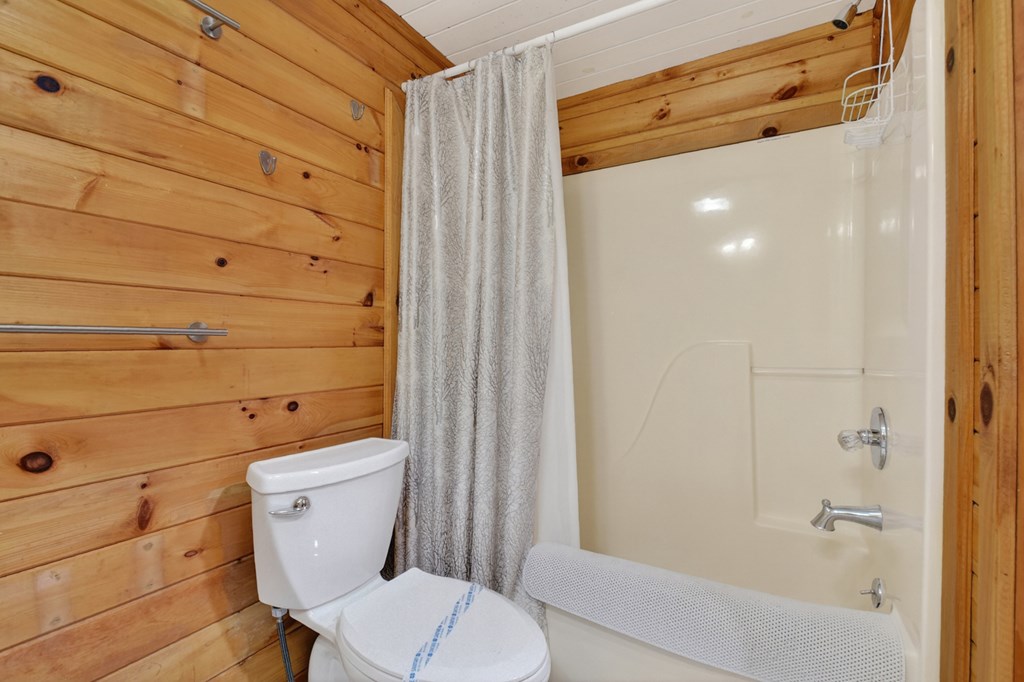 488 Joann Sisson Road Blue Ridge, GA 30513 - Photo 34 of 39 a white toilet sitting next to a bathroom sink