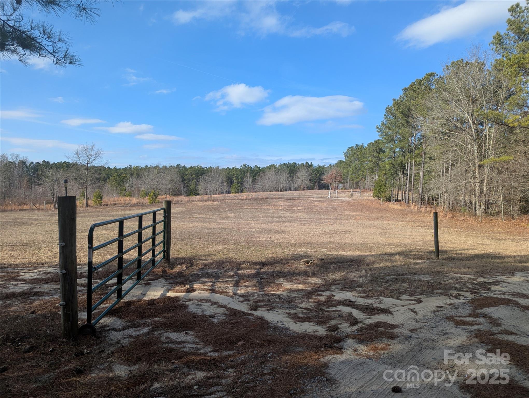 482 Pine Road Jefferson, SC 29718 - Photo 2 of 5 a view of lake view with mountain view