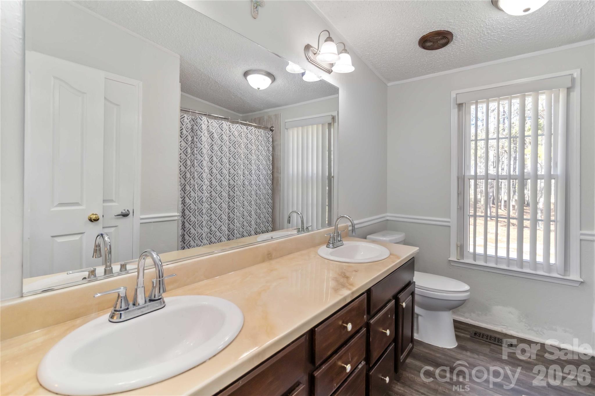 482 Pine Road Jefferson, SC 29718 - Photo 33 of 39 a bathroom with a double vanity sink toilet and a mirror
