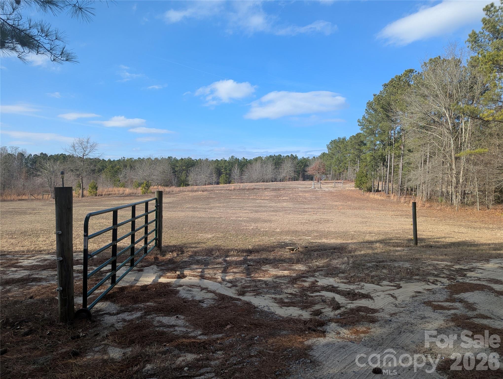 482 Pine Road Jefferson, SC 29718 - Photo 35 of 39 a view of lake view with mountain view