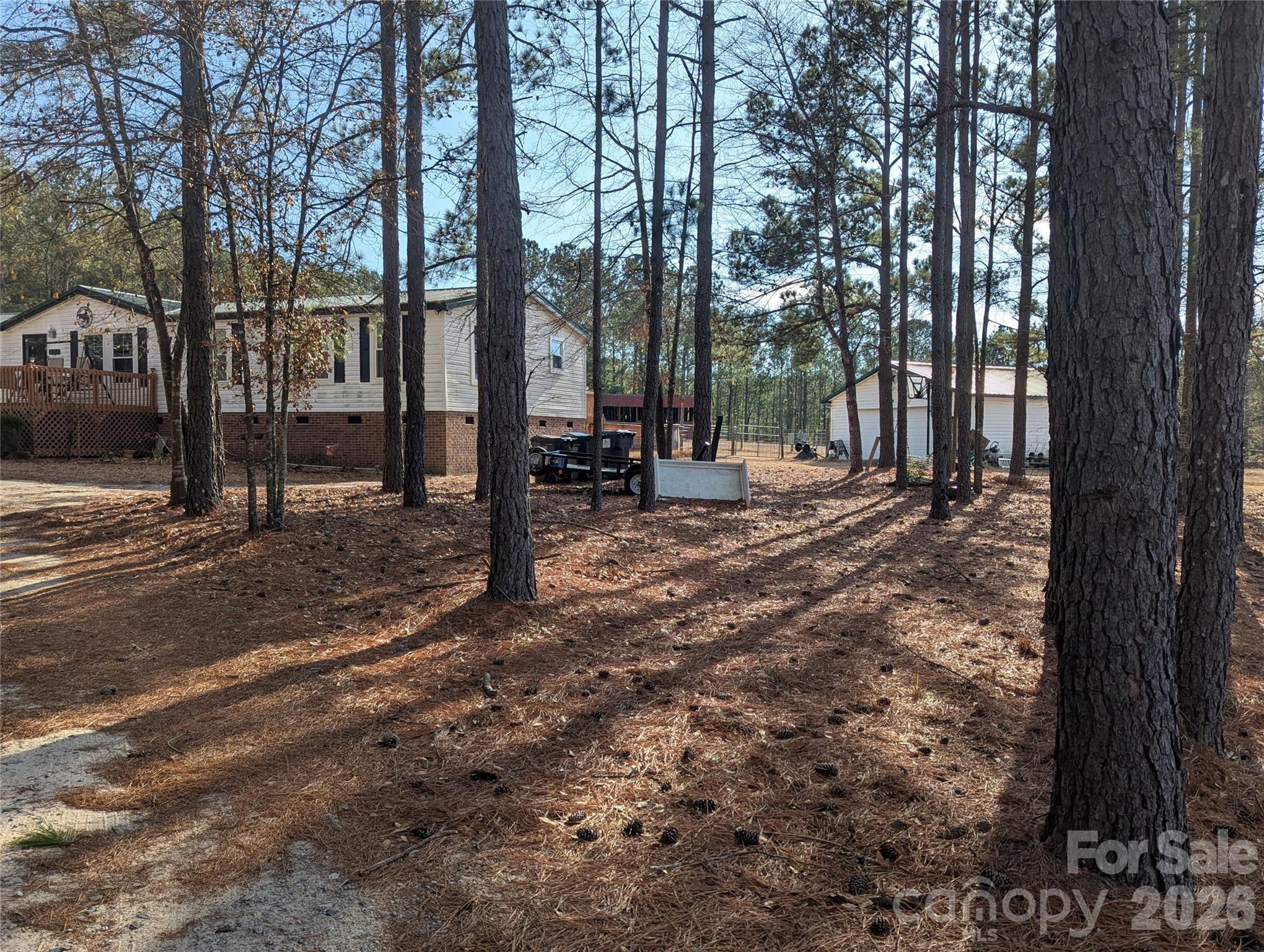 482 Pine Road Jefferson, SC 29718 - Photo 36 of 39 a view of a yard with plants and trees