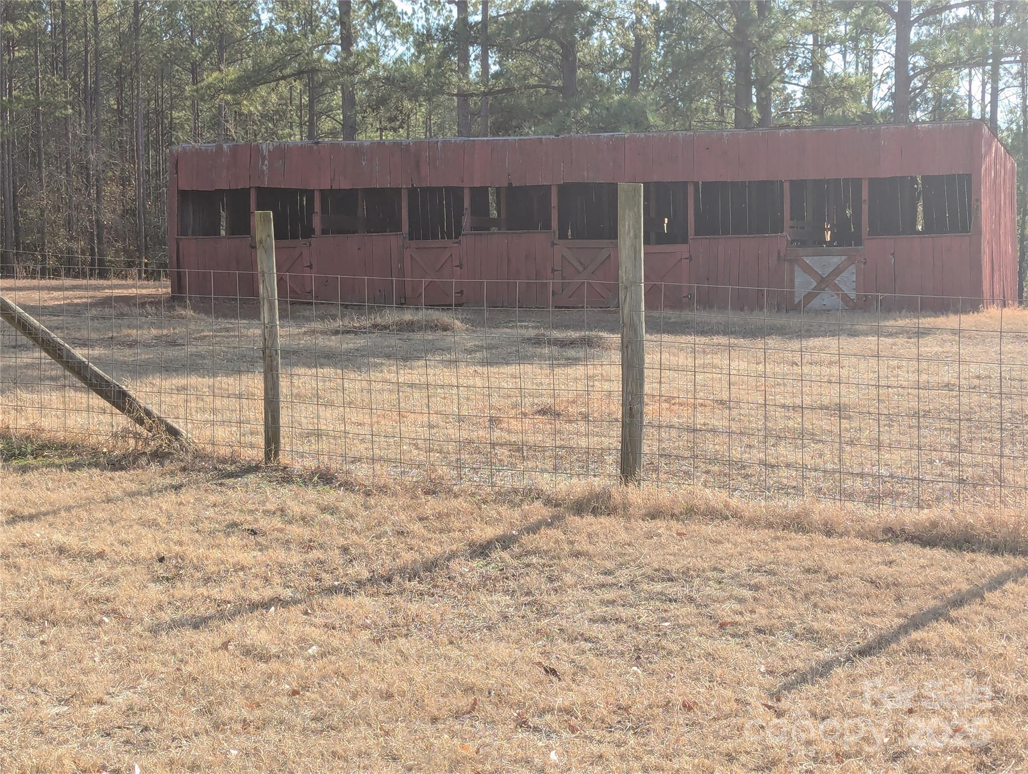482 Pine Road Jefferson, SC 29718 - Photo 4 of 5 a view of a back yard