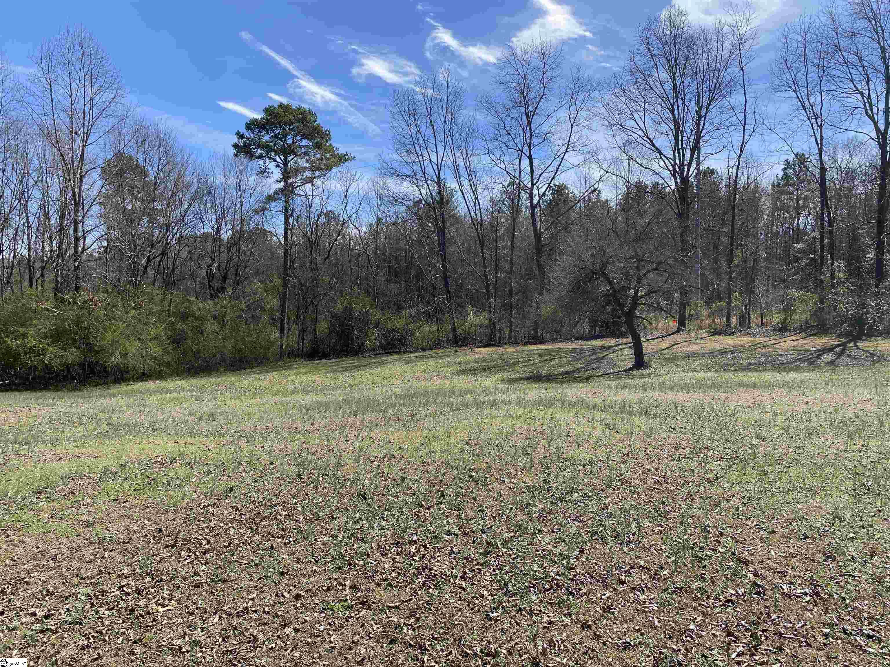 2559 John Dodd Road Wellford, SC 29385 - Photo 11 of 17