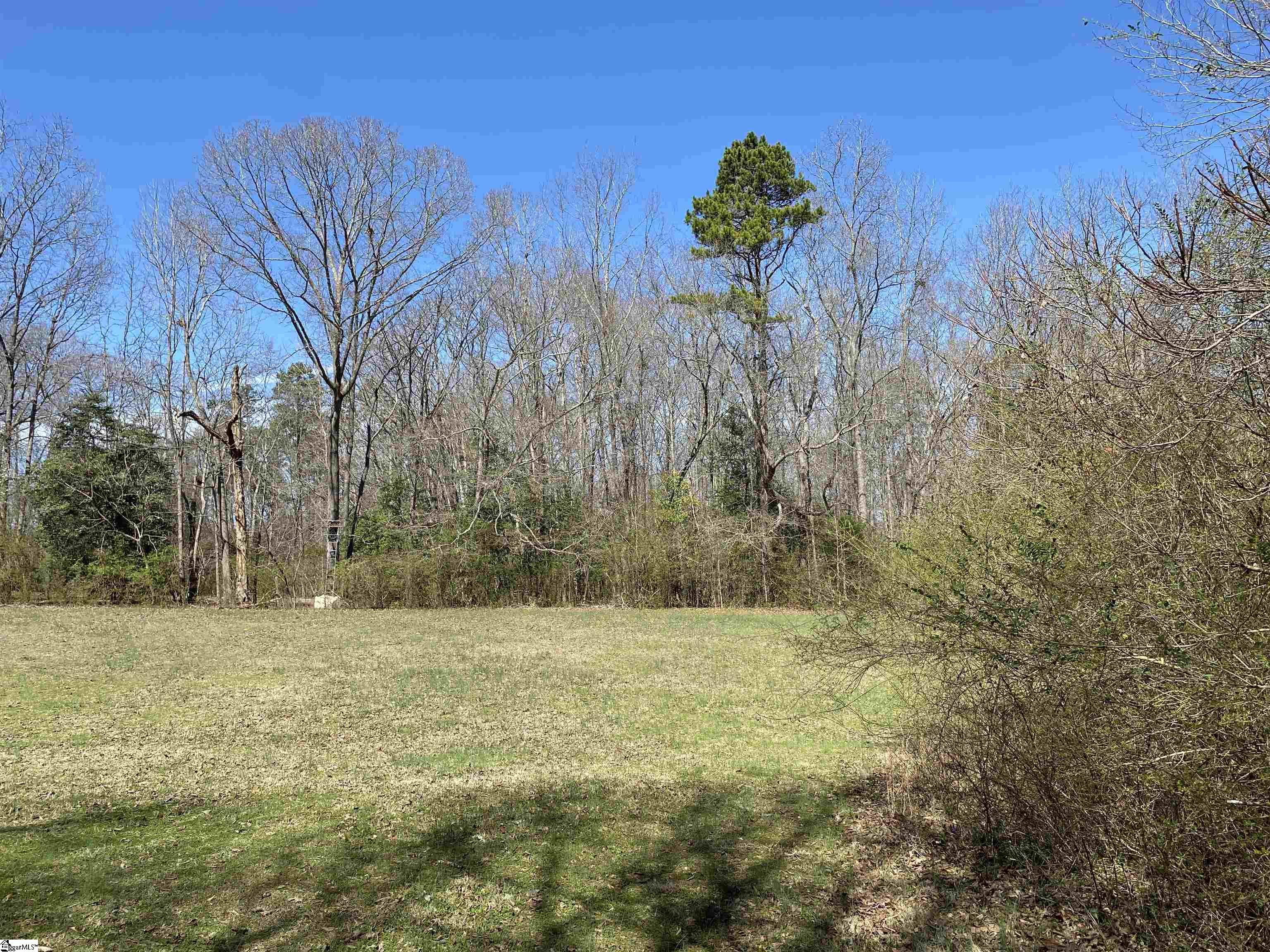 2559 John Dodd Road Wellford, SC 29385 - Photo 13 of 17