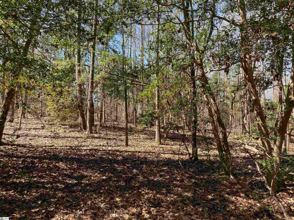 $510,000 | 2559 John Dodd Road, Wellford, SC 29385