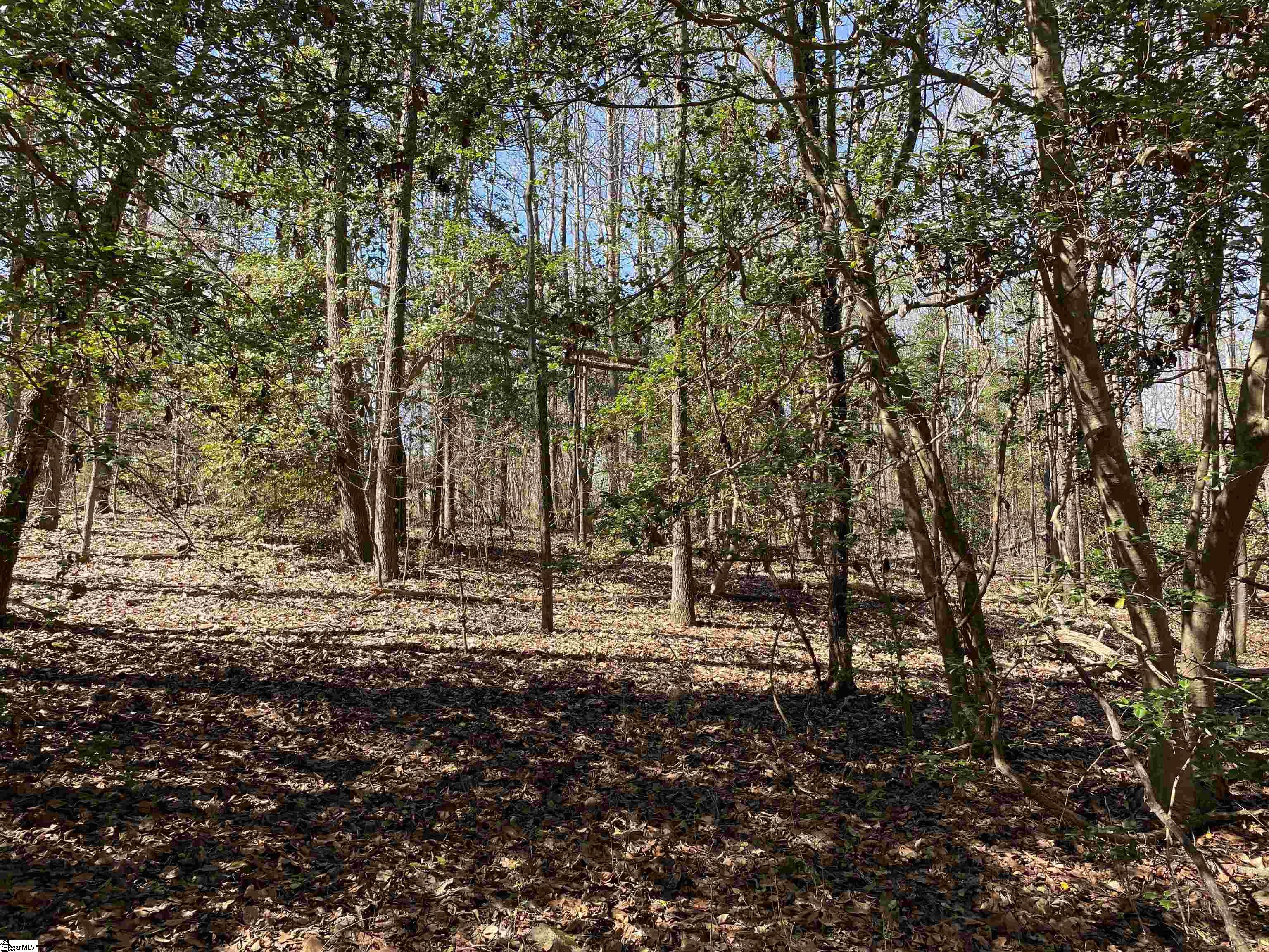 2559 John Dodd Road Wellford, SC 29385 - Photo 15 of 17