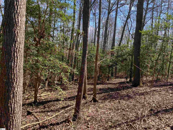 $510,000 | 2559 John Dodd Road, Wellford, SC 29385