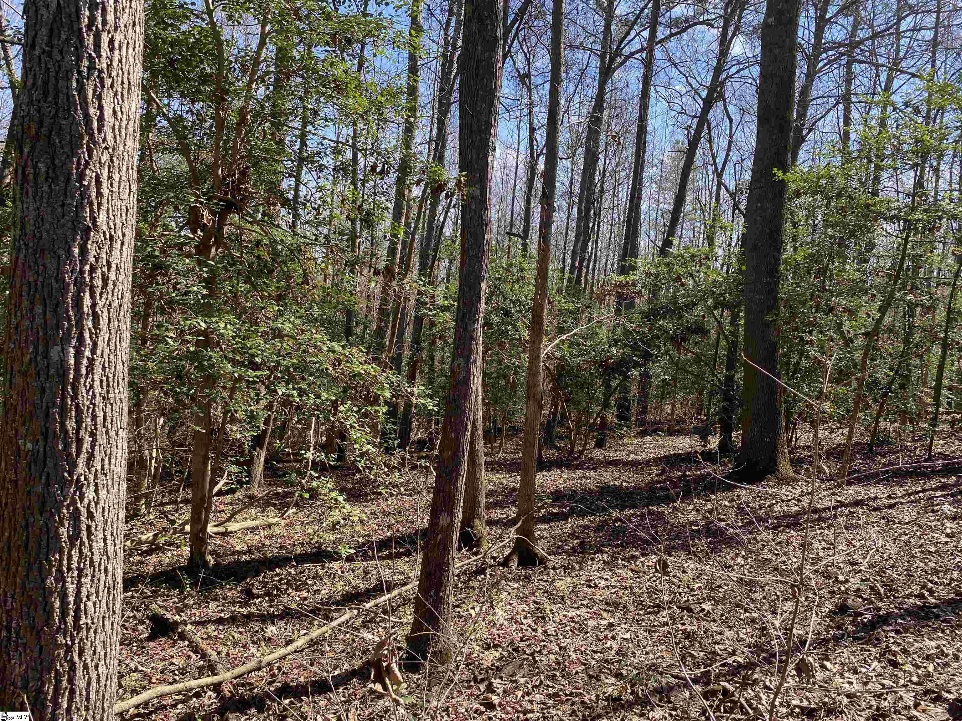 2559 John Dodd Road Wellford, SC 29385 - Photo 16 of 17