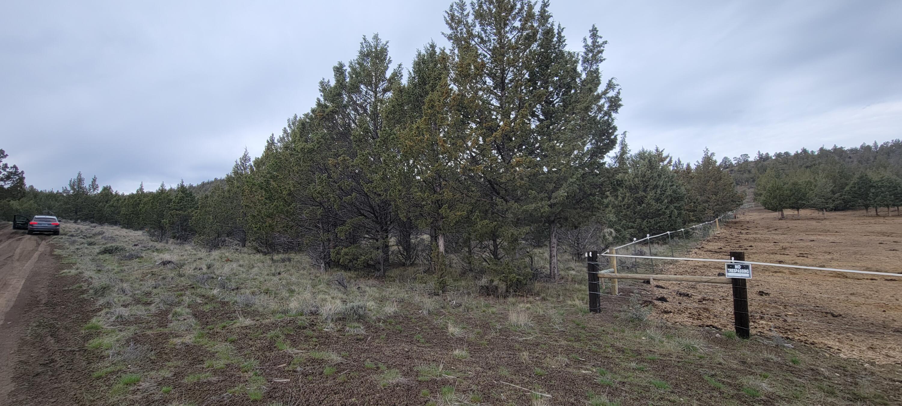 Southeast Osprey Road Prineville, OR 97754 - Photo 20 of 30 Corner 01
