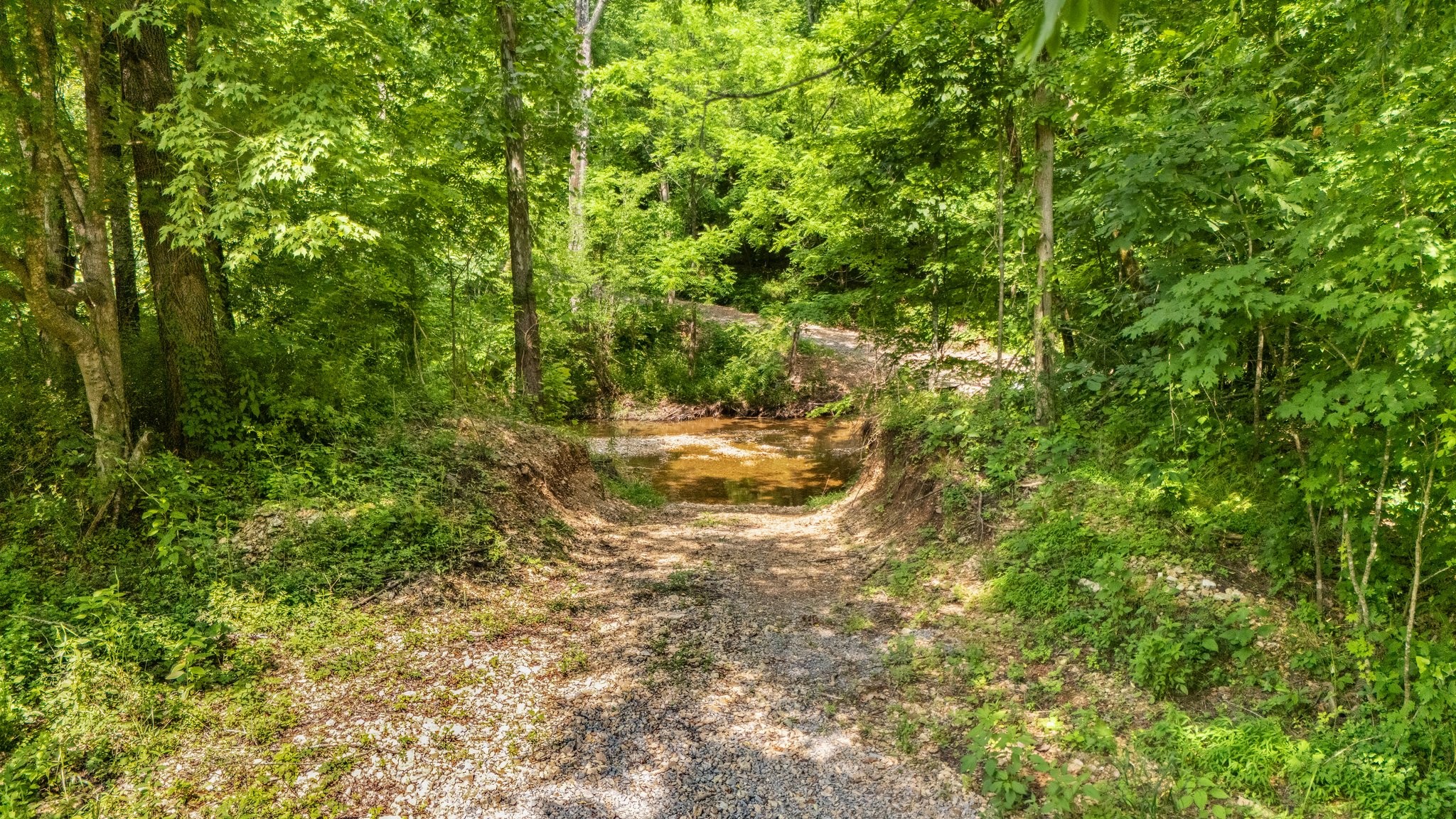 42 Oneal Road Adolphus, KY 42120 - Photo 20 of 28 Gallery Image 20