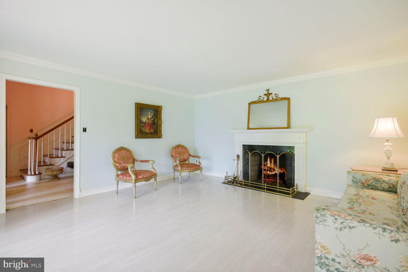 8430 Brook Road McLean, VA 22102 - Photo 9 of 20 Gas elegant fireplace!