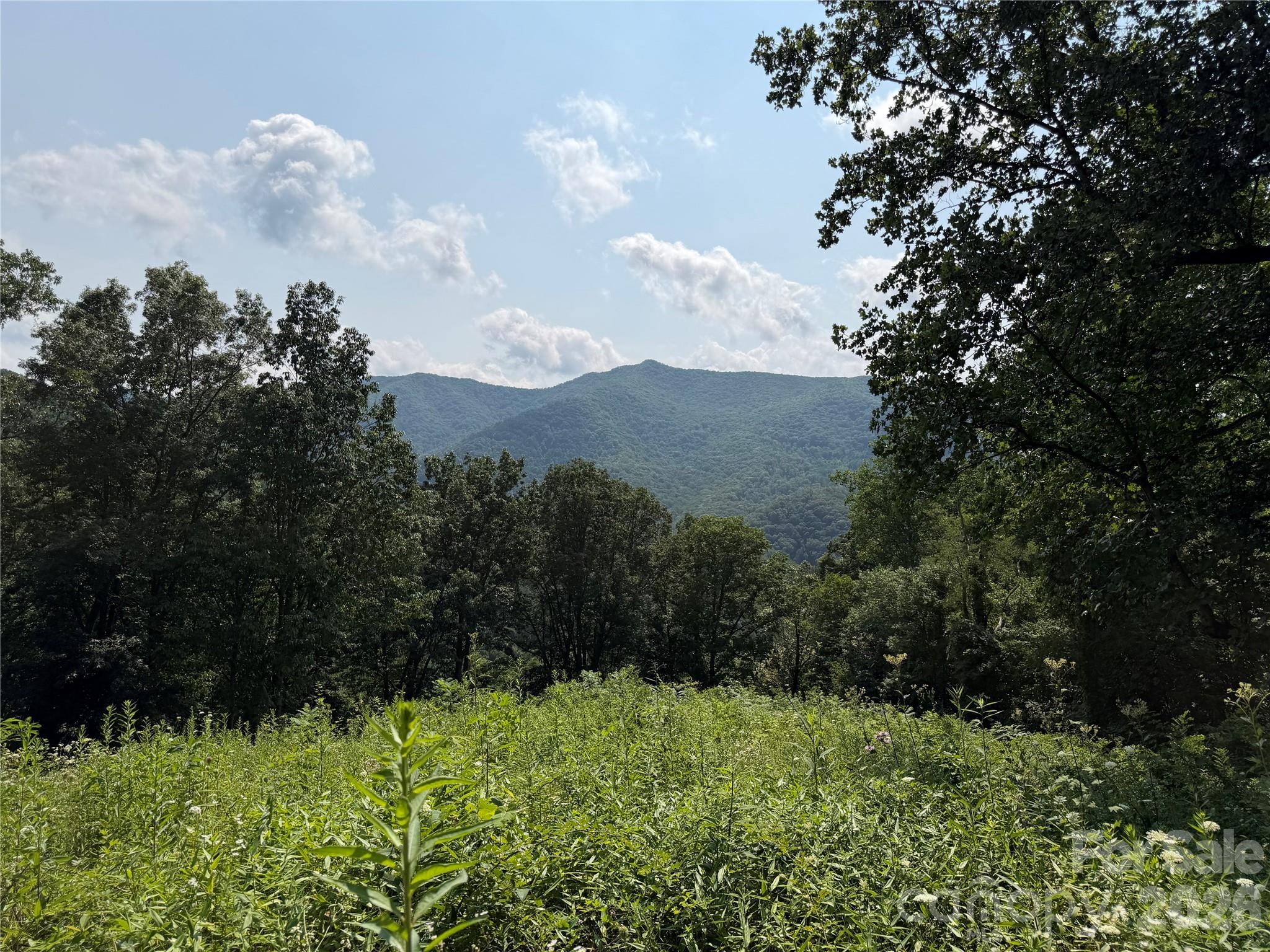 0 Sorrells Creek Road Canton, NC 28716 - Photo 2 of 12 Gallery Image 2