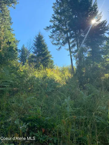 $499,900 | -nka East Driftwood Heights Drive, Harrison, ID 83833