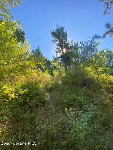 $499,900 | -nka East Driftwood Heights Drive, Harrison, ID 83833