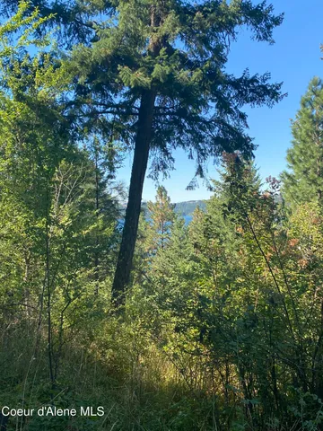 $499,900 | -nka East Driftwood Heights Drive, Harrison, ID 83833