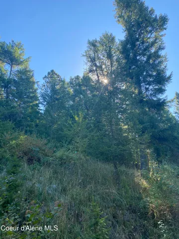 $499,900 | -nka East Driftwood Heights Drive, Harrison, ID 83833