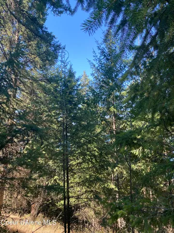 $499,900 | -nka East Driftwood Heights Drive, Harrison, ID 83833