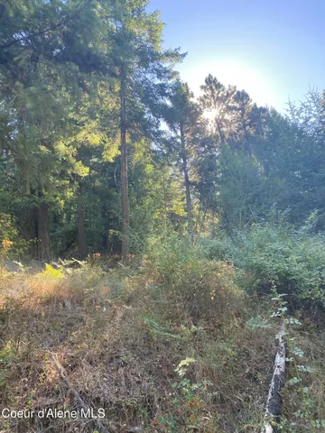 $499,900 | -nka East Driftwood Heights Drive, Harrison, ID 83833