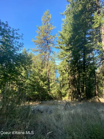 $499,900 | -nka East Driftwood Heights Drive, Harrison, ID 83833