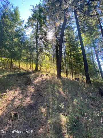 $499,900 | -nka East Driftwood Heights Drive, Harrison, ID 83833