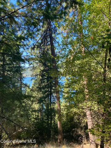 $499,900 | -nka East Driftwood Heights Drive, Harrison, ID 83833