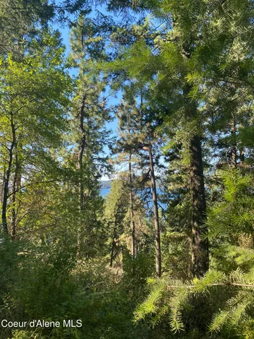 $499,900 | -nka East Driftwood Heights Drive, Harrison, ID 83833