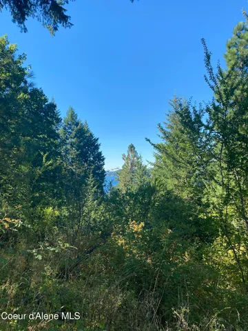 $499,900 | -nka East Driftwood Heights Drive, Harrison, ID 83833