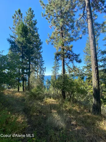 $499,900 | -nka East Driftwood Heights Drive, Harrison, ID 83833