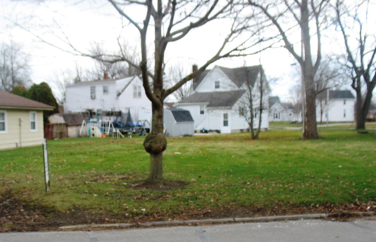 929-line 929-line Street Decatur, IN 46733 - Photo 1 of 1 Gallery Image 1
