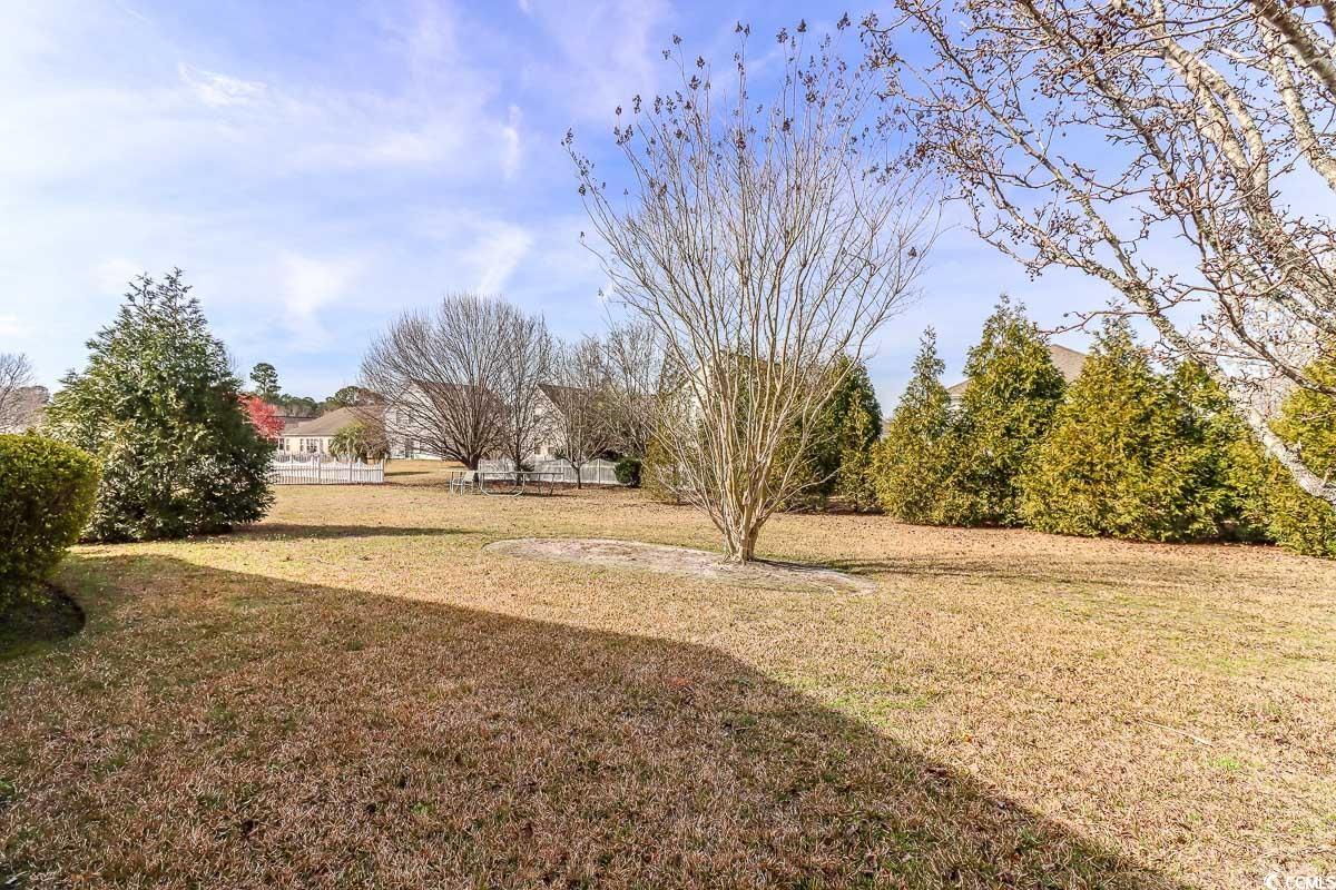 2081 Haystack Way Myrtle Beach, SC 29579 - Photo 19 of 25