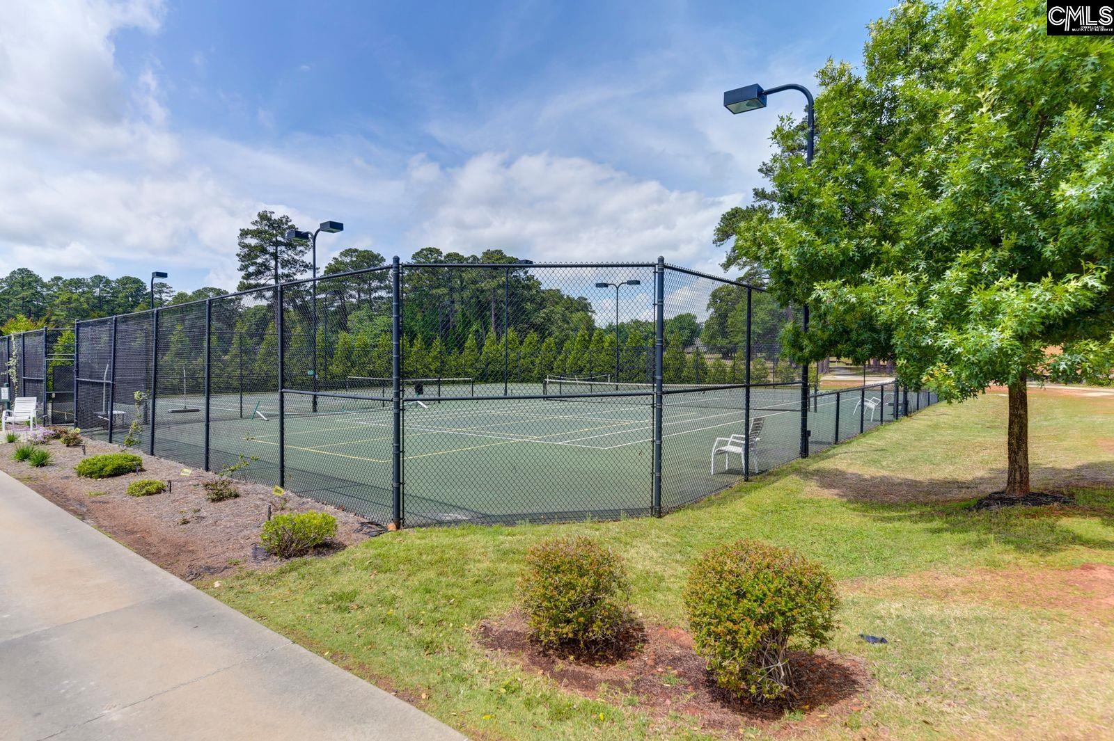641 Timberlake Drive Chapin, SC 29036 - Photo 66 of 71