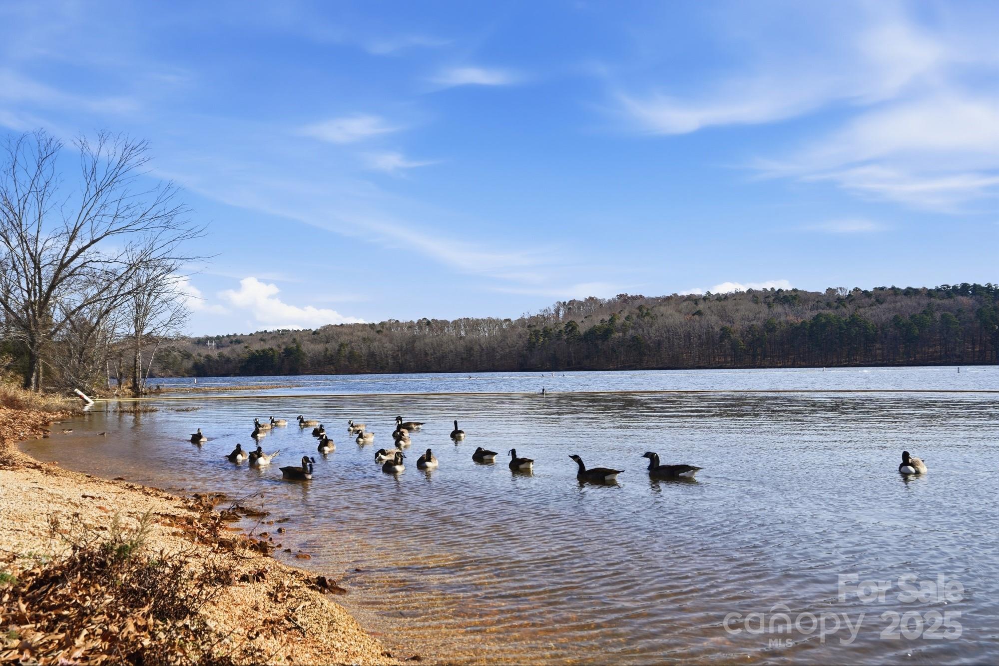 910 Roosevelt Street Badin, NC 28001 - Photo 3 of 30 a view of a lake with outdoor space