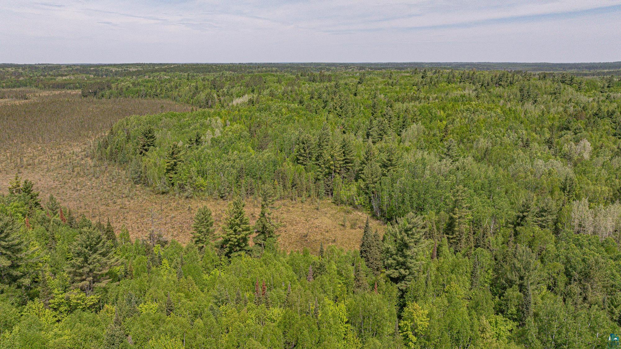 Tbd Tbd Muckwa Lake Road Babbitt, MN 55706 - Photo 34 of 54