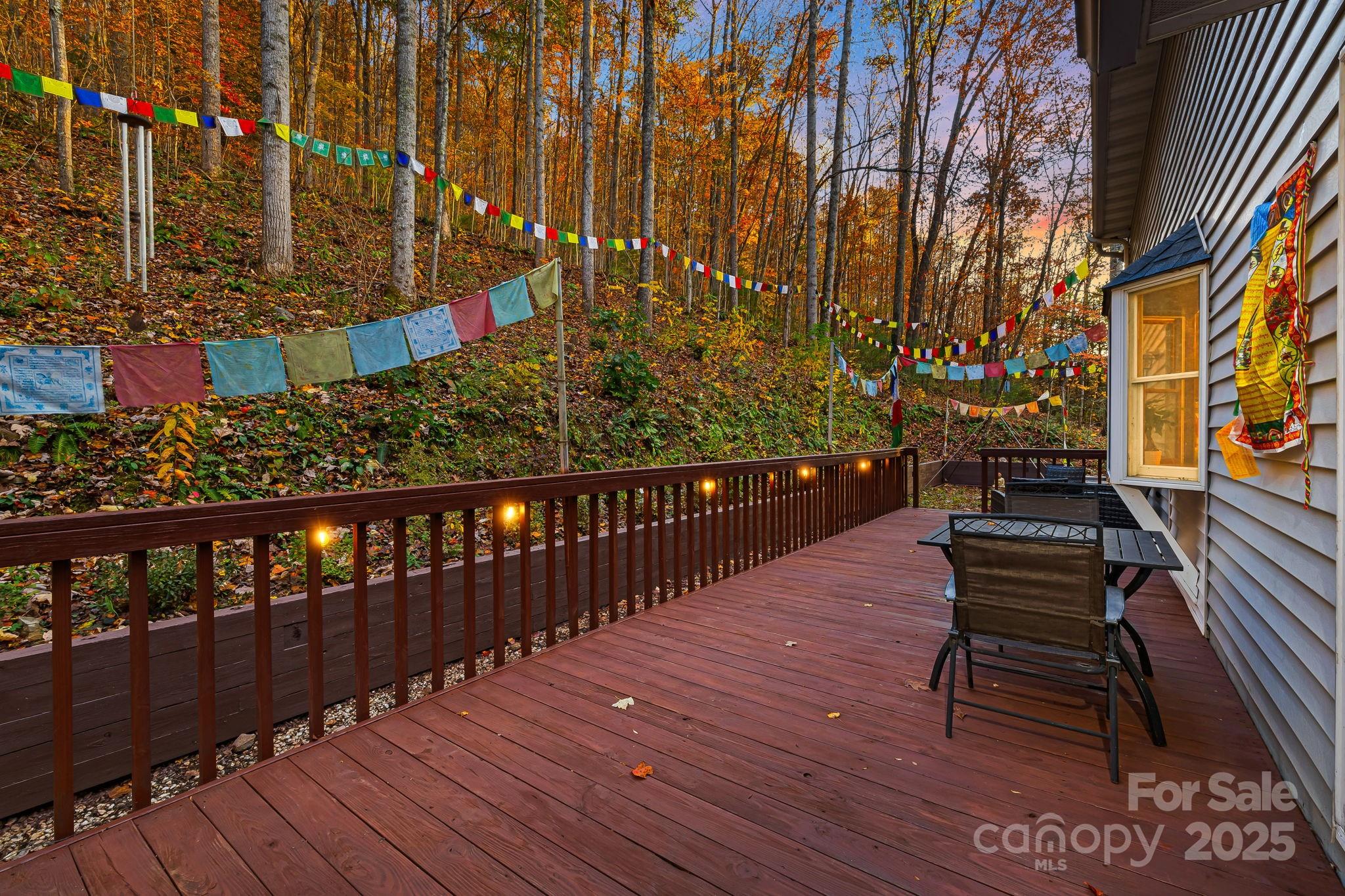 297 North Beaverdam Road Candler, NC 28715 - Photo 12 of 48