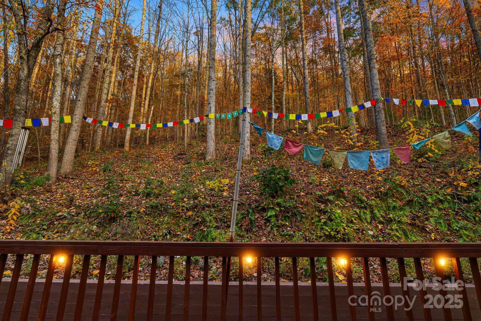 297 North Beaverdam Road Candler, NC 28715 - Photo 13 of 48