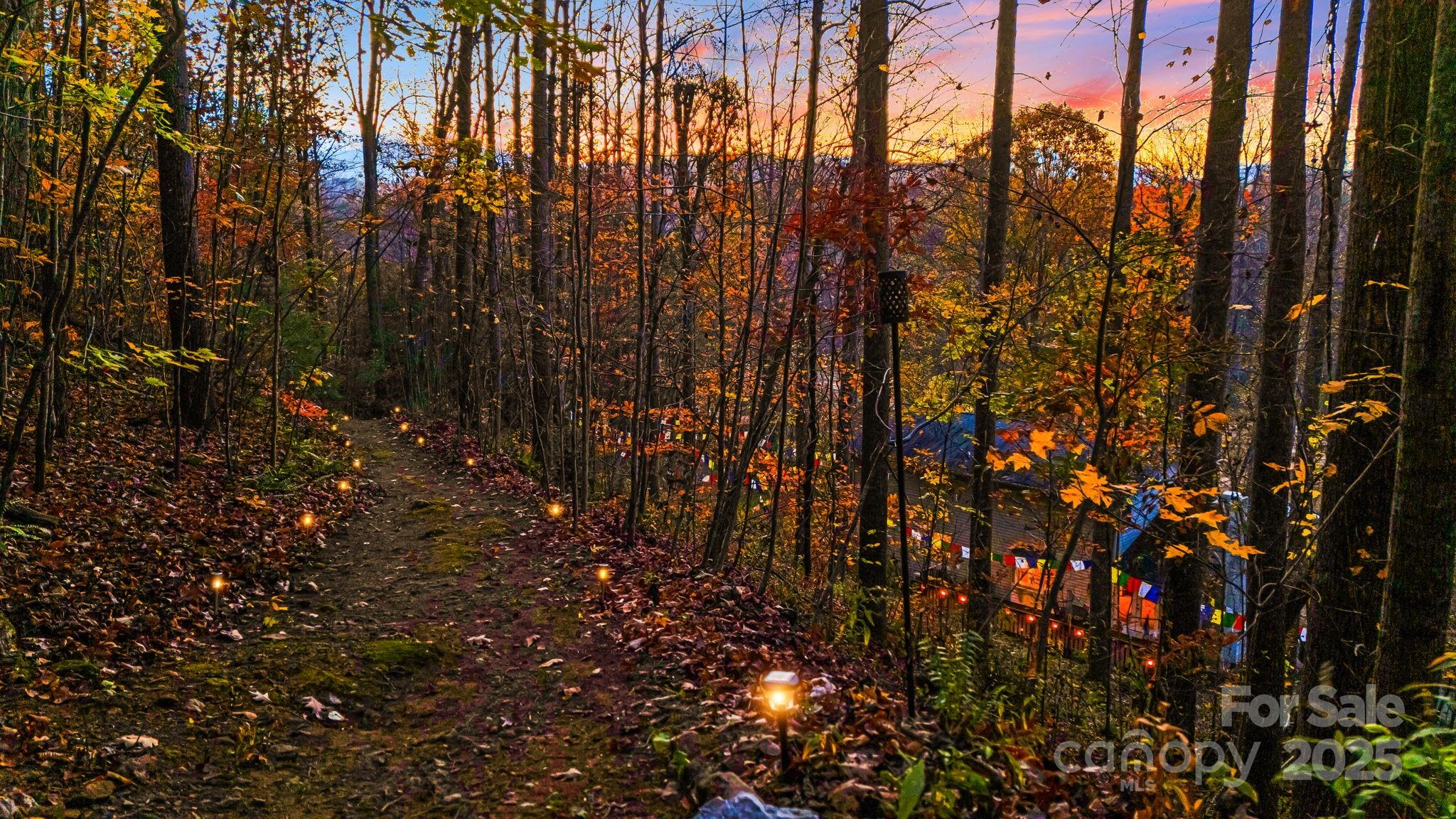 297 North Beaverdam Road Candler, NC 28715 - Photo 2 of 48