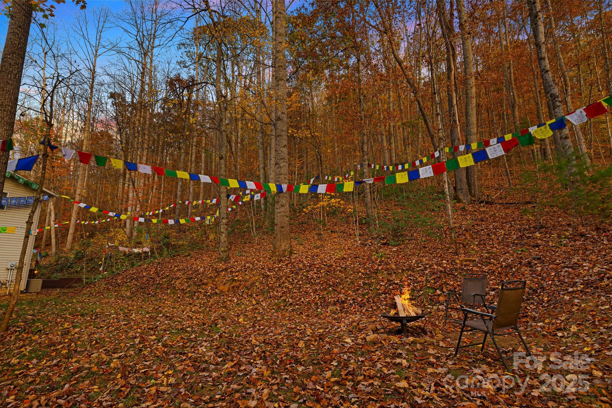 297 North Beaverdam Road Candler, NC 28715 - Photo 41 of 48