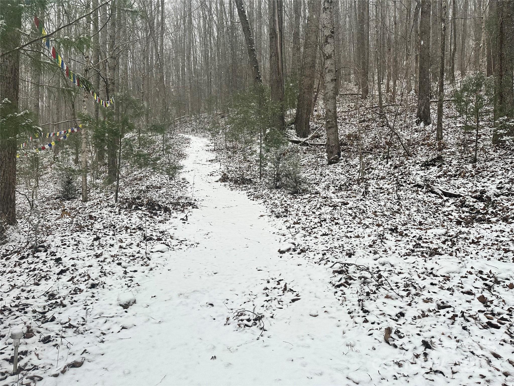 297 North Beaverdam Road Candler, NC 28715 - Photo 43 of 48