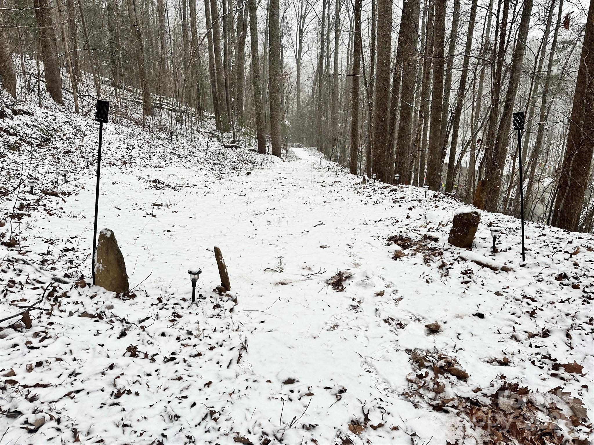 297 North Beaverdam Road Candler, NC 28715 - Photo 44 of 48