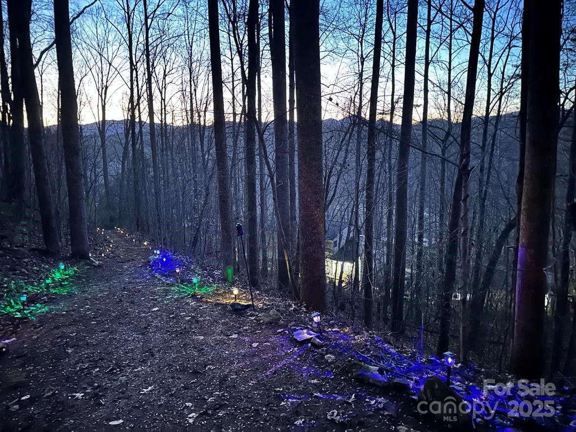 297 North Beaverdam Road Candler, NC 28715 - Photo 45 of 48