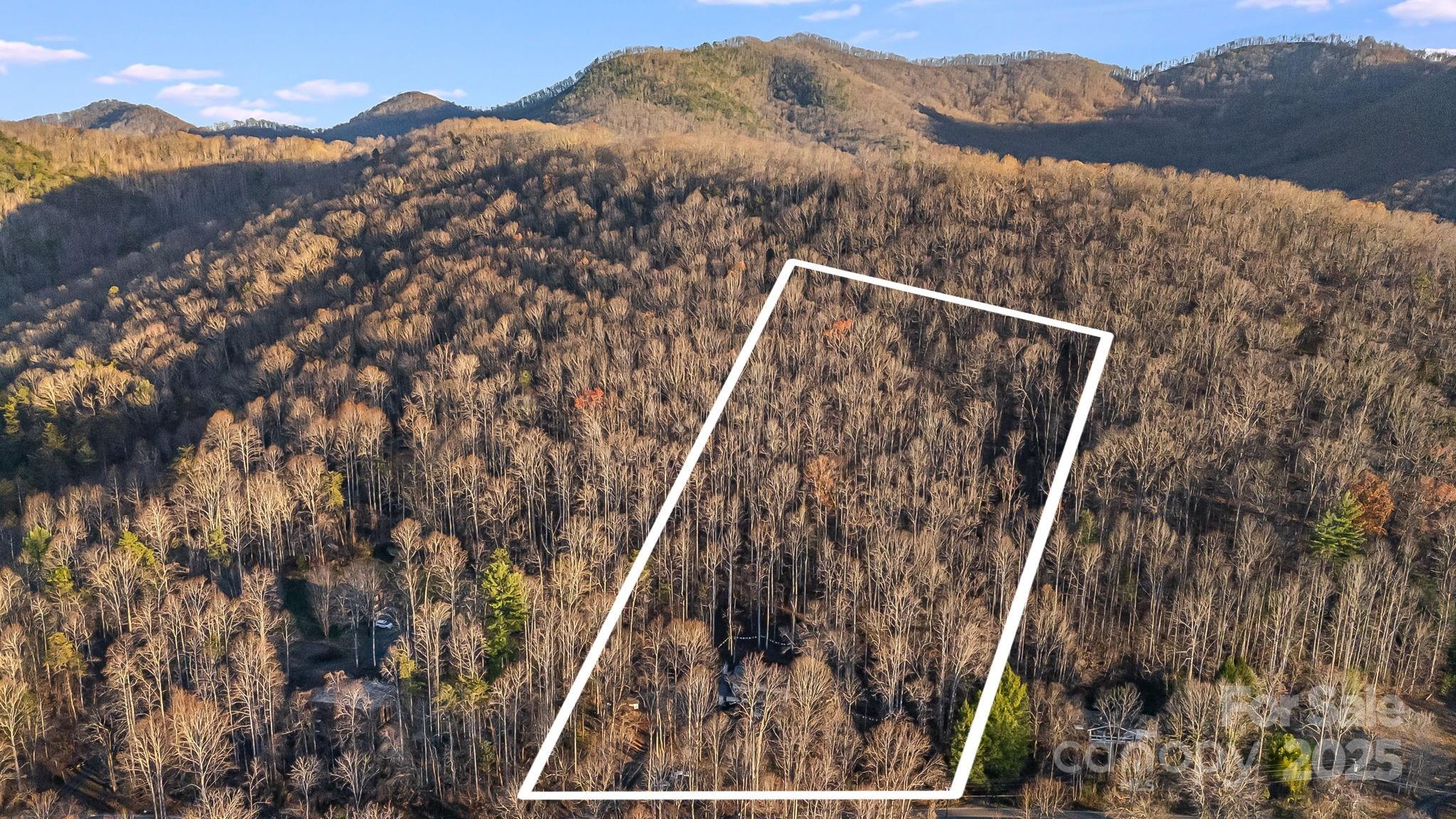 297 North Beaverdam Road Candler, NC 28715 - Photo 46 of 48