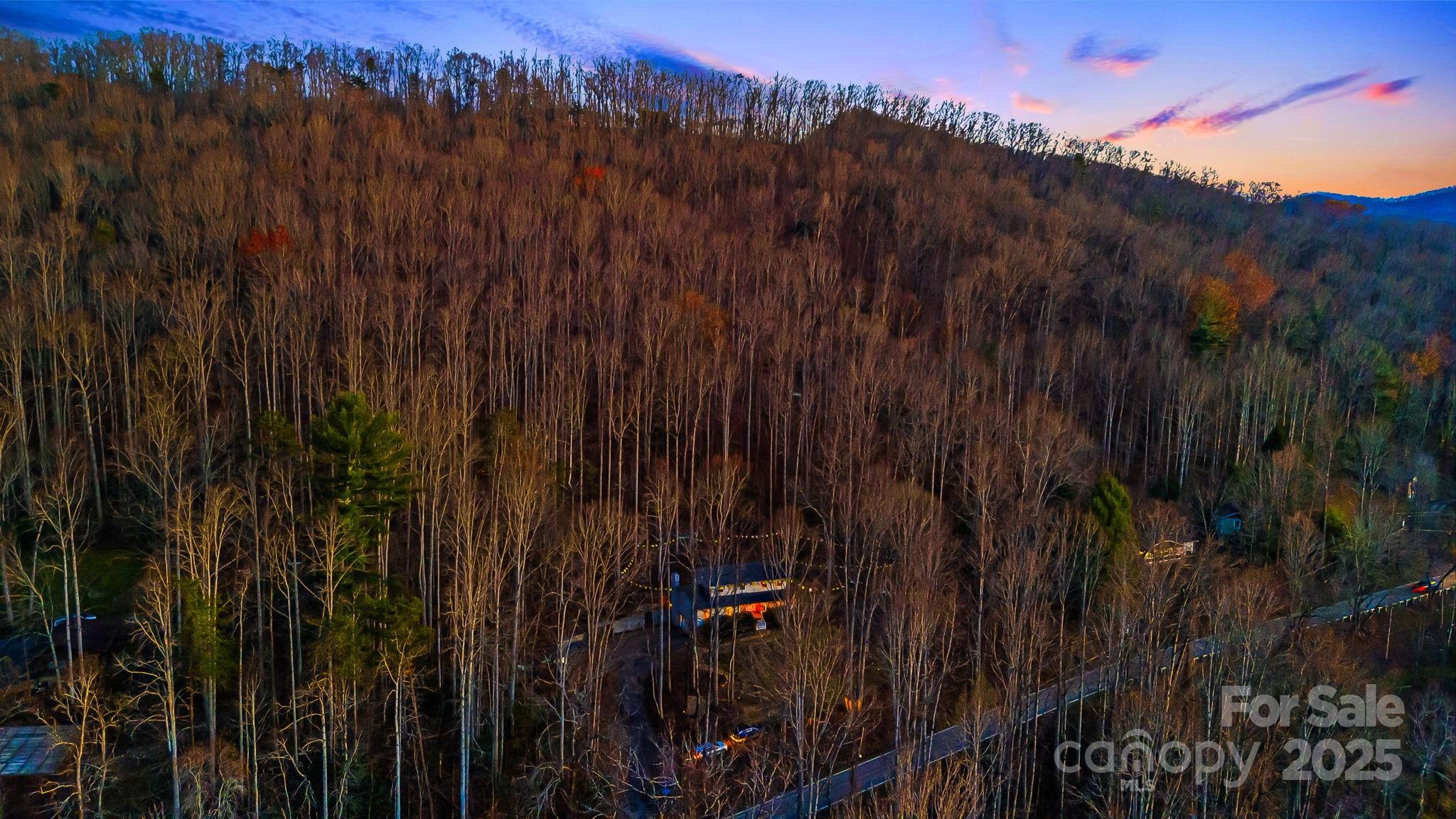 297 North Beaverdam Road Candler, NC 28715 - Photo 47 of 48