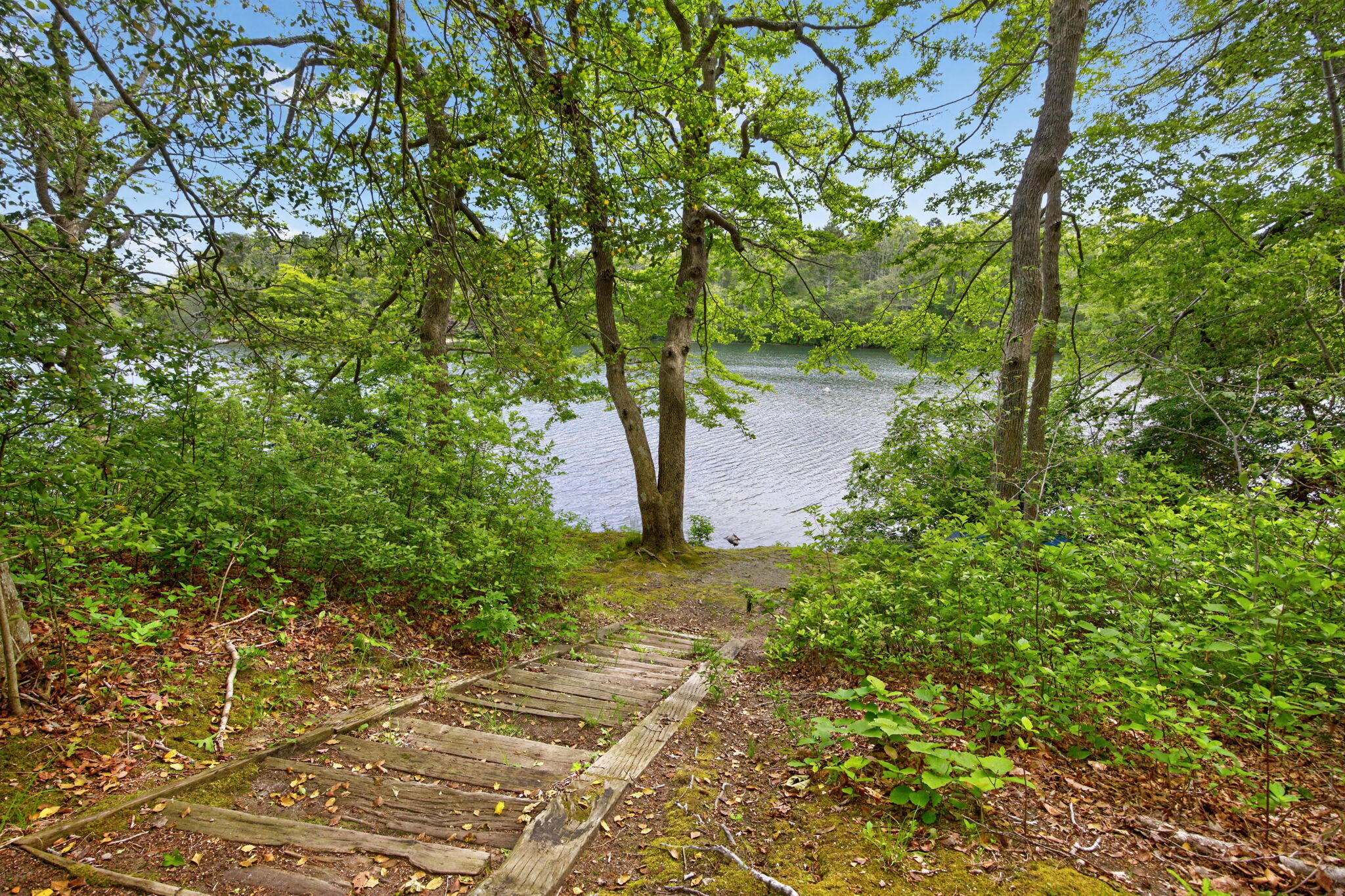 20 Hirsch Road Forestdale, MA 02644 - Photo 21 of 27 27-PF0A2478