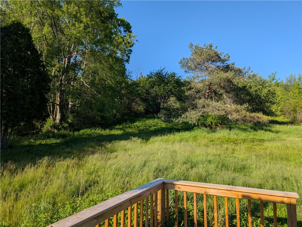 3956 Bucktooth Run Road Little Valley, NY 14755 - Photo 4 of 8