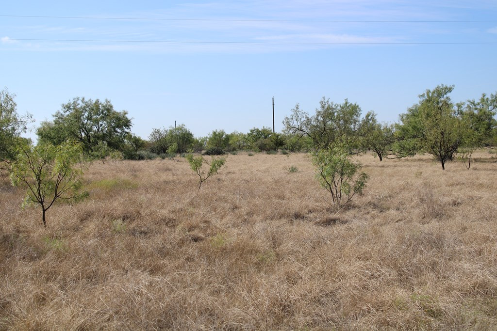 0 County Road Talpa, TX 76882 - Photo 5 of 22 Photo 5
